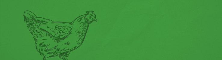 Air Dried Dog Food - Chicken hero image