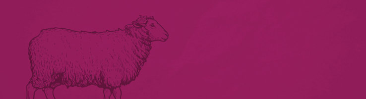 Air Dried Dog Food - Lamb hero image